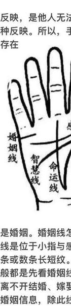 感情线解析图_情感线分析_感情线图解